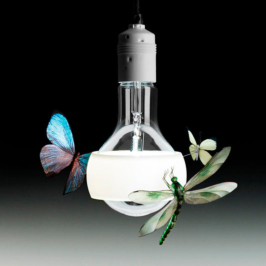 Ingo Maurer - Johnny B. Butterfly Lampada a Sospensione