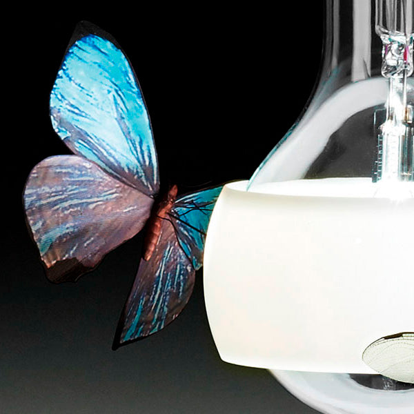 Ingo Maurer - Johnny B. Butterfly Lampada a Sospensione
